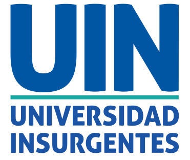 https://comoestudiarmx.com/wp-content/uploads/2024/11/Logo_UIN.png