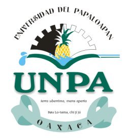 https://comoestudiarmx.com/wp-content/uploads/2024/11/UNPA_logo.jpg