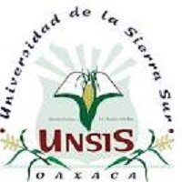 https://comoestudiarmx.com/wp-content/uploads/2024/11/Universidad-de-la-Sierra-Sur.jpg