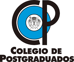 https://comoestudiarmx.com/wp-content/uploads/2024/11/logo-colegio-de-postgraduados.png