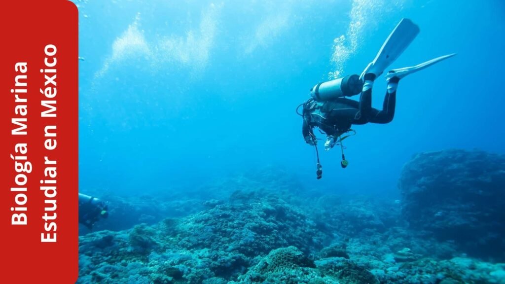 estudiar Biología Marina en México